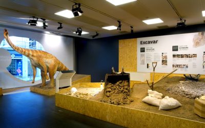 Museu de l'Institut Català de Paleontologia Miquel Crusafont