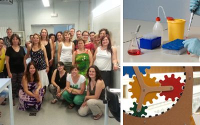 “Experimentació a l’aula”  i  “Matemàgia i didàctica de les matemàtiques”:  cursos d’estiu  per a docents de secundària