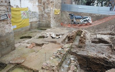 21: La paleobotànica a Sotstinent Navarro