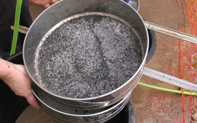 20: Be pol•len my friend