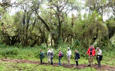 8: S’acaba l’època turística