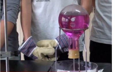 Com participar a X(p)rimenta 2015