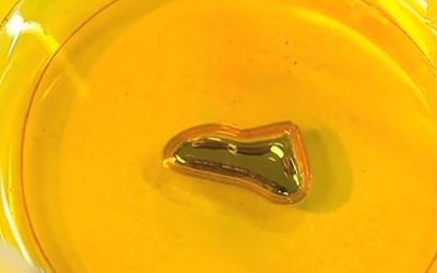 El cor bategant de gal·li