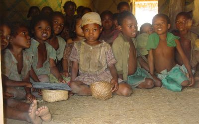 16: Desforestació i salut