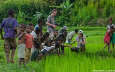 20: Enlairem el dron!