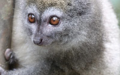 21: De tornada cap a casa!