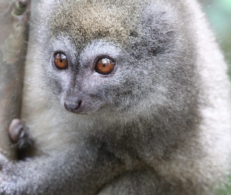 21: De tornada cap a casa!