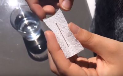 L’agulla que flota