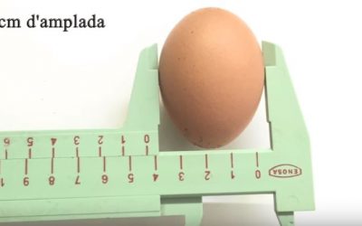 Demostrem l’osmosi