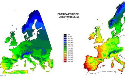 4- La caiguda de les fulles a la tardor i el canvi climàtic