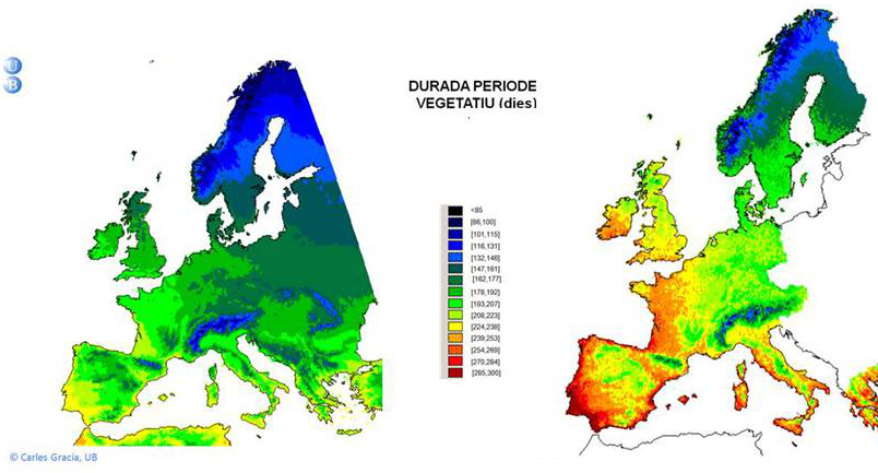 4- La caiguda de les fulles a la tardor i el canvi climàtic