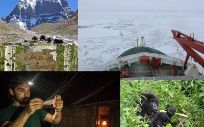 Celebrem els 10 anys de Recerca en Acció !