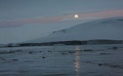 14 – De banderes i volcans