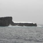 12 – L'illa d'Scott i els cants de balena