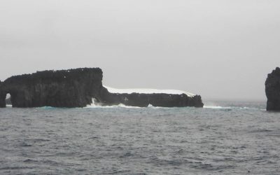 12 – L'illa d'Scott i els cants de balena