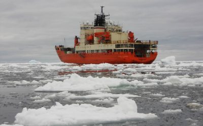 16 – L’illa de Pere I i les entranyes dels pobles i les persones