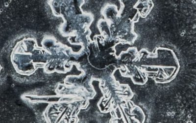 17 – El pes d'un floc de neu