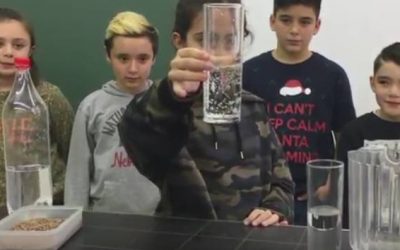 El ball de les llenties