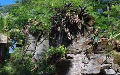 5: Comencem a excavar