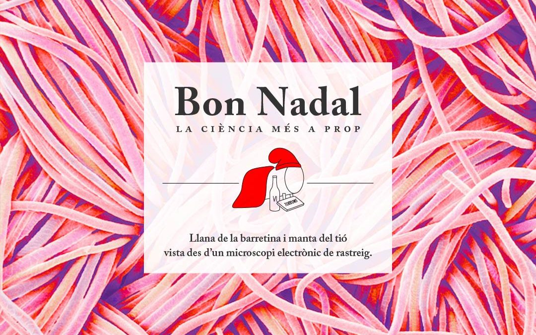 Aigua, vida i mines d'or als Andes