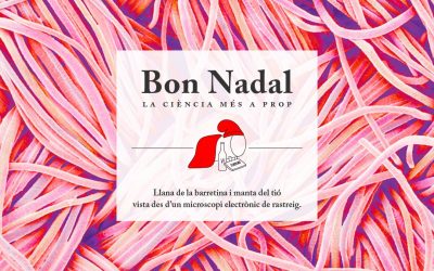 Aigua, vida i mines d'or als Andes