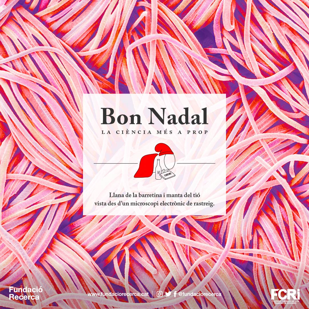 images_Nadal_LPostal_NadalAprop_Nadal2017_tio1_FundacioRecerca_FCRI