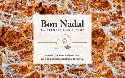 Les cebes ens indiquen la contaminació de l'aigua