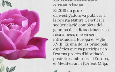 Participa en el concurs: Com és un científic o científica?