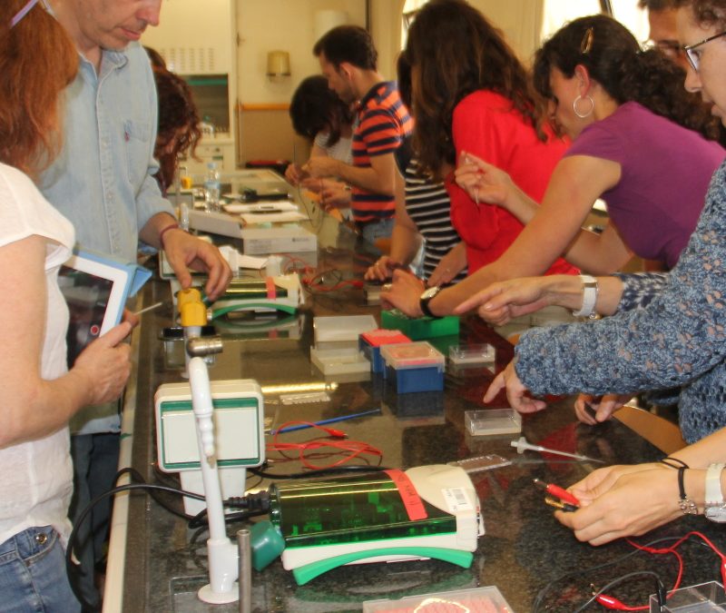 Cursos d'estiu de ciències de la FCRi per a mestres i professors – edició 2018