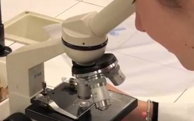 La cristal·lització