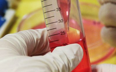 Nova edició de les Escoles d’Estiu de l’FCRi aquest juliol arreu Catalunya