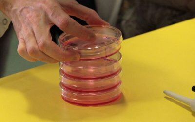 L’FCRi participa al projecte europeu Path2Integrity, destinat a millorar la integritat de la recerca científica