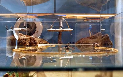 Rutes científiques per les comarques de Girona, una nova forma de fer turisme familiar per a ments