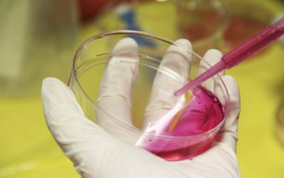 Oberta la inscripció al concurs X(p)rimenta 2019!