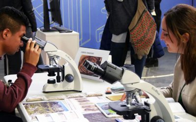 Vols fer un iceberg a casa?