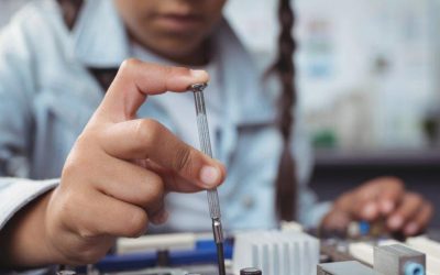 La població d’àliga daurada a l’Alta Garrotxa és estable?