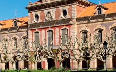 7. Bates blanques per a l’eternitat