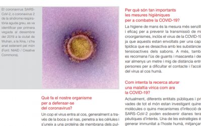 Sopa de Lletres – PARTÍCULES