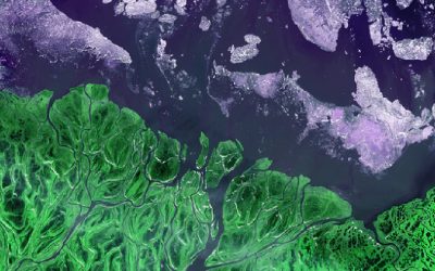 3: El món dels magmes