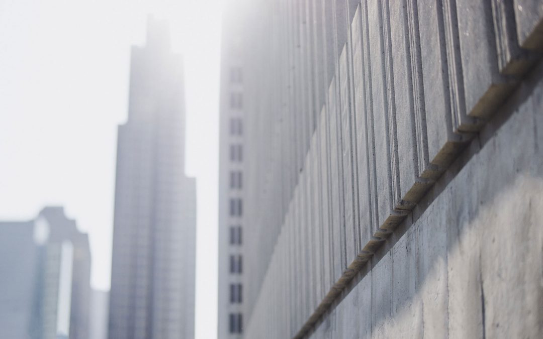 Quines diferències hi ha en l'ecosistema entre l'hivern i l'estiu.