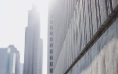 Quines diferències hi ha en l'ecosistema entre l'hivern i l'estiu.