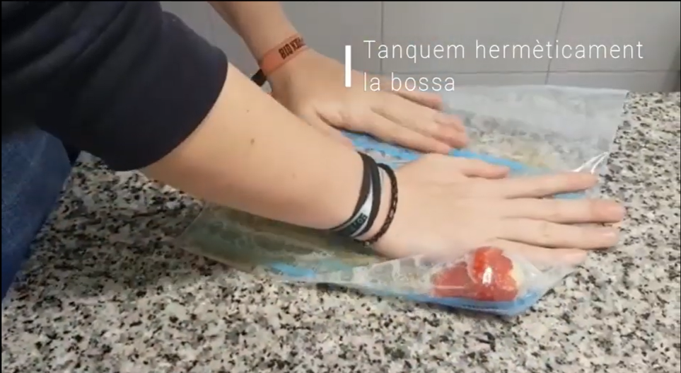 Imatge representativa del vídeo Extracció d'ADN de maduixes