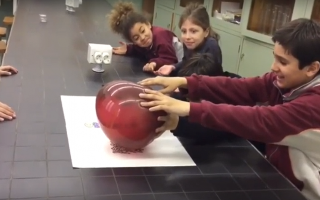 El globus i les xinxetes