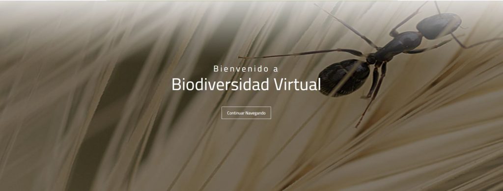 Imatge portada de Biodiversitat Virtual, fent clic a la imatge es podrà accedir a la pàgina web