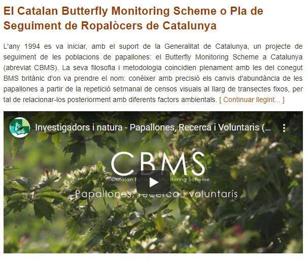 Imatge portada de Catalan Butterfly Monitoring Scheme, fent clic a la imatge es podrà accedir a la pàgina web