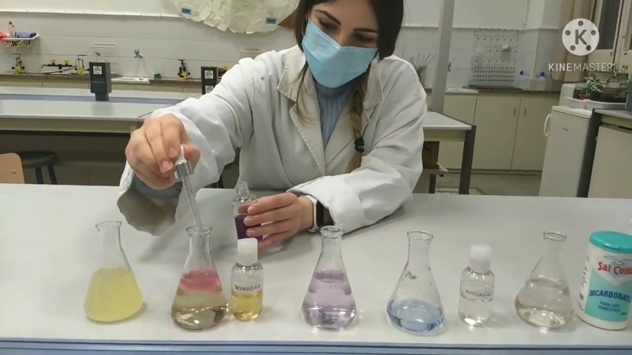 Imatge representativa del vídeo • Diferenciació del pH a partir d’antocianines
