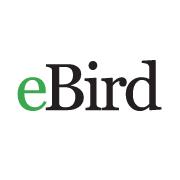 eBird_logo