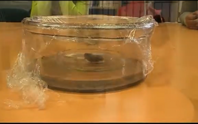 El cicle de l’aigua