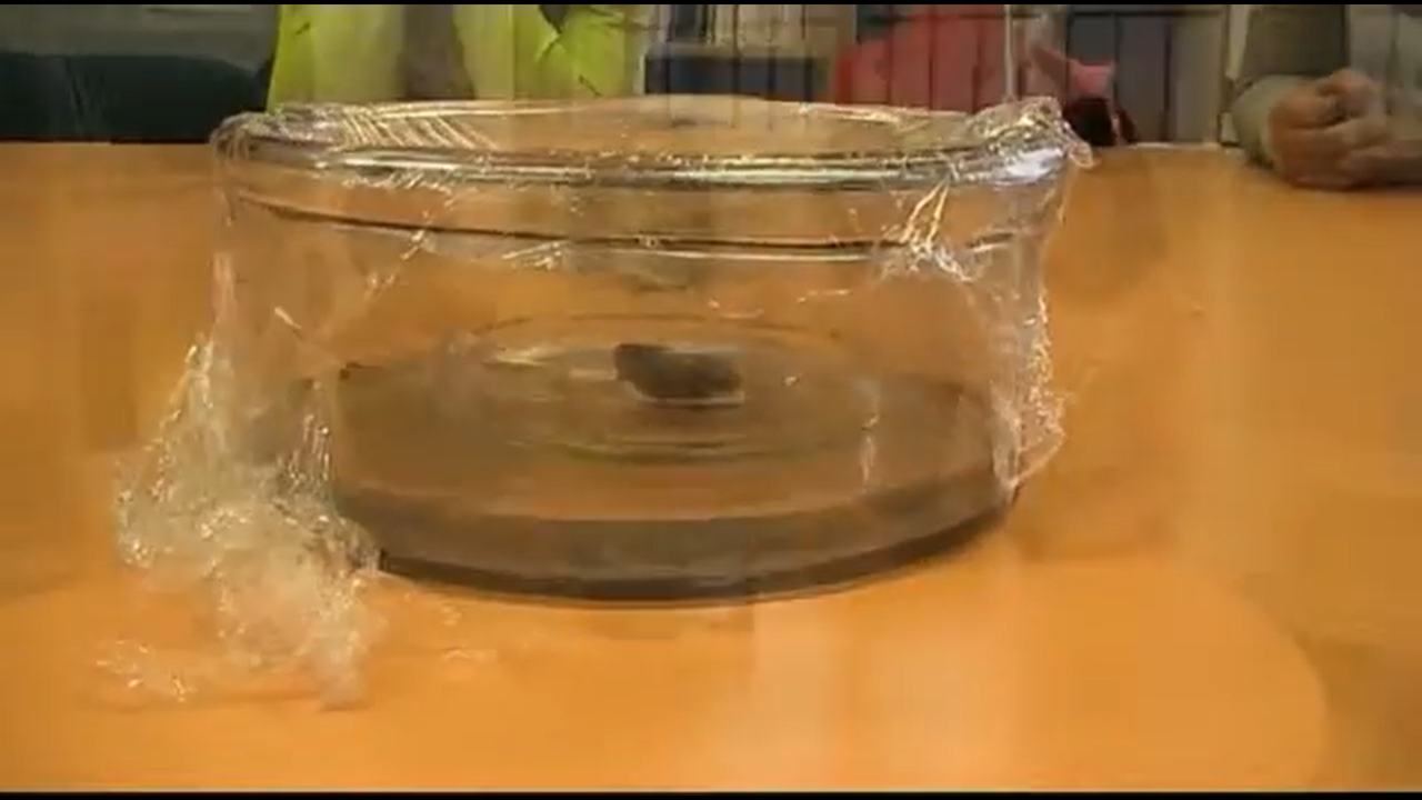 Imatge destacada de l'experiment cicle de l'aigua