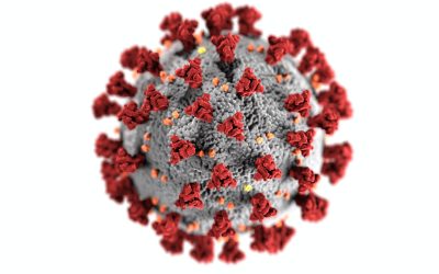 Epidemiologia: Hi ha cap altre cas de contagi de Coronavirus d’una altra espècie als humans que hagi produït pandèmies o epidèmies tan importants com l’actual?